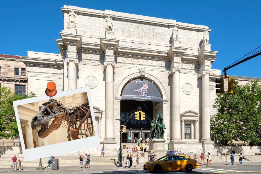Musée histoire naturelle new york